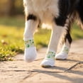 thumbnail image 5 of Disposable Dog Boots for Paw Protection, with Adjustable Self-Adhesive Bandage, for Outdoor & Indoor Walking 3*6In, 5 of 6