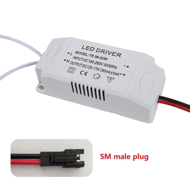 Ruibeauty Alimentation Externe 36-50W Transformateur Électronique à Courant Constant