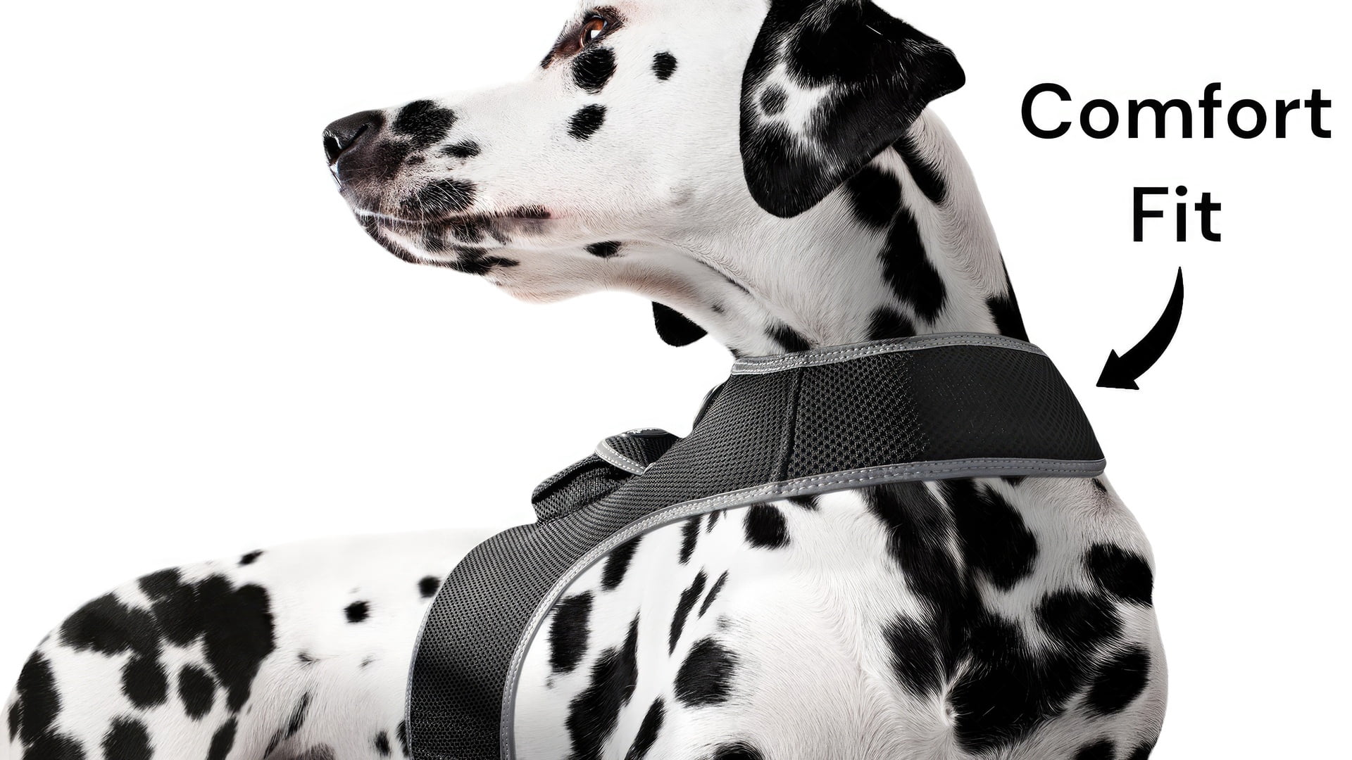 Worldwide GSM Compatible Mini Dog Tracking GPS Collar Mounted Tracker Size:XL