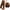 Brown, variant on Summer Capri Pants for Women Casual Elastic Waist Drawstring Stretchy Yoga Cparis with Pockets
