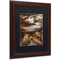 thumbnail image 2 of Trademark Fine Art "Autumn Swirly" Canvas Art by Michael Blanchette Photography Black Matte, Wood Frame, 2 of 4