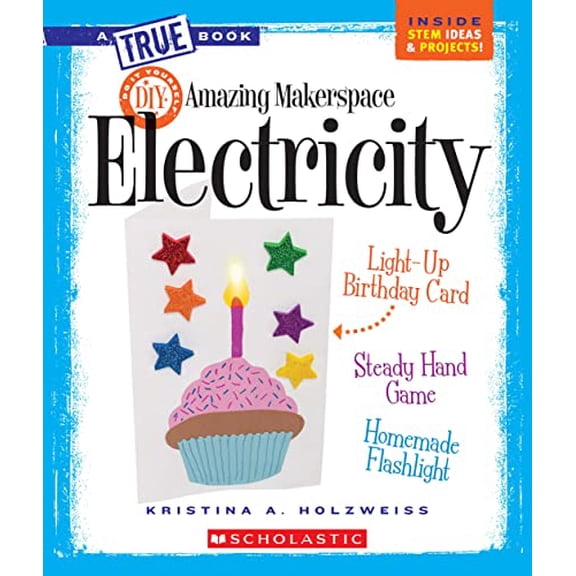 Pre-Owned Amazing Makerspace DIY with Electricity (a True Book: Makerspace Projects) (Paperback) 0531240967 9780531240960