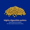thumbnail image 6 of Kaytee Koi's Choice Pond Fish Food Floating Pellets, 3 lb, 6 of 13