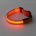 thumbnail image 6 of LED Dog Collar USB Rechargeable | Adjustable Luminous Nylon Pet Collar with Bag Storage | Reflective Safety Light Up Visibility Up to 500m | Includes USB Cable | Fits Small Medium Pets, 6 of 6