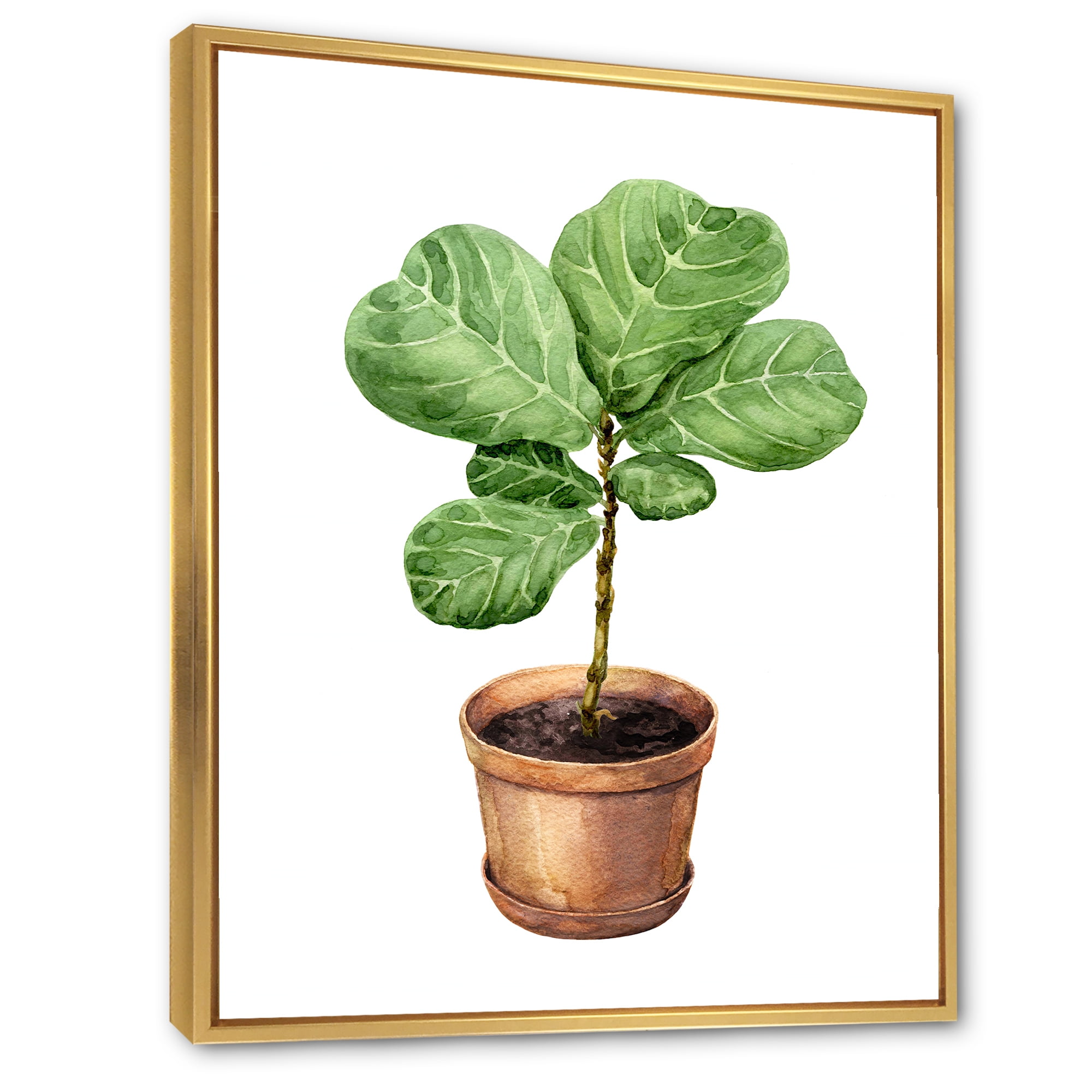 Designart 'Ficus Lyre Plant In Clay Flowerpot' Traditional Framed Canvas Wall Art Print