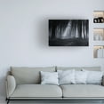 thumbnail image 2 of Julien Oncete 'Capela Forest' Canvas Art, 2 of 4