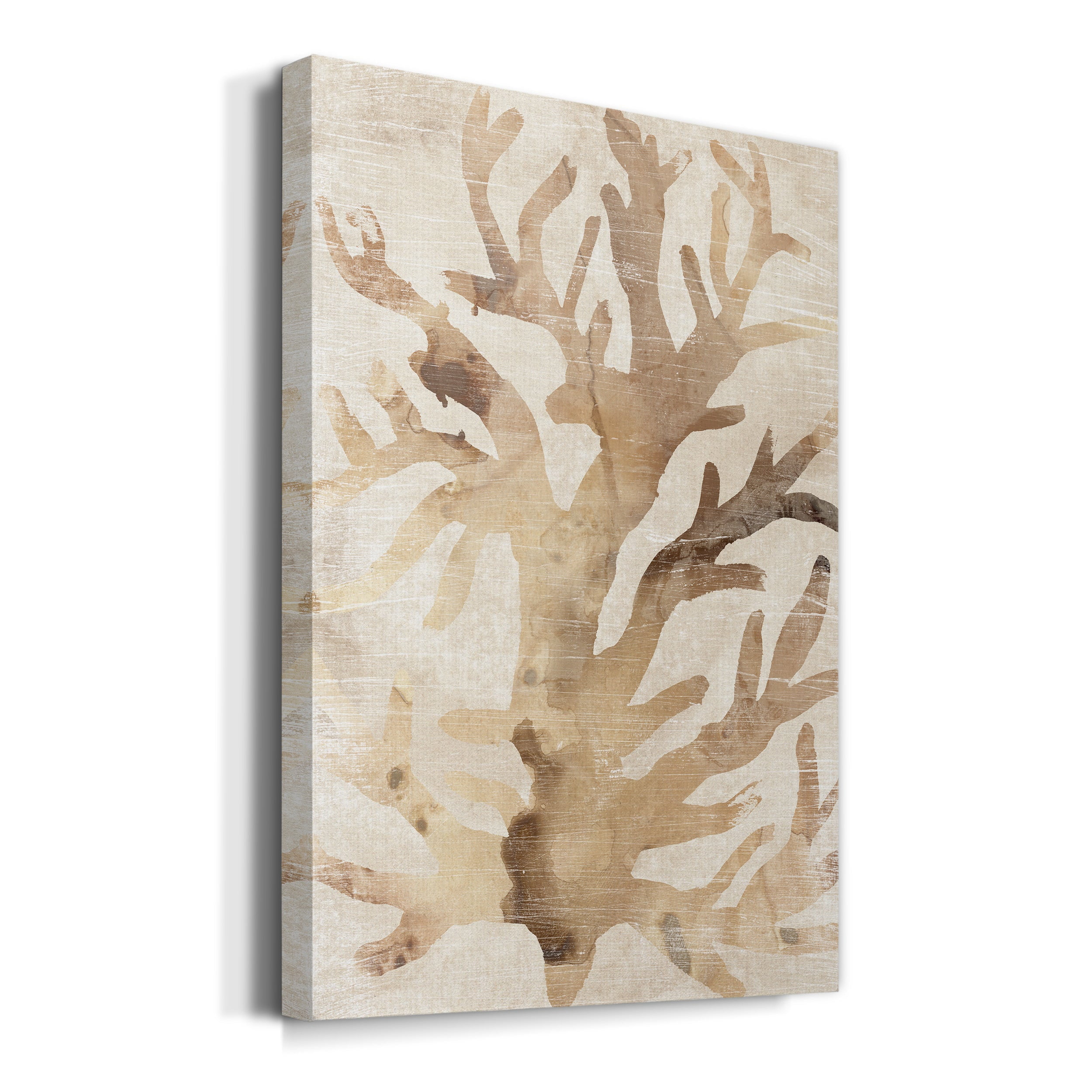 Parchment Coral III Premium Gallery Wrapped Canvas - Ready to Hang