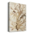 thumbnail image 2 of Parchment Coral III Premium Gallery Wrapped Canvas - Ready to Hang, 2 of 7