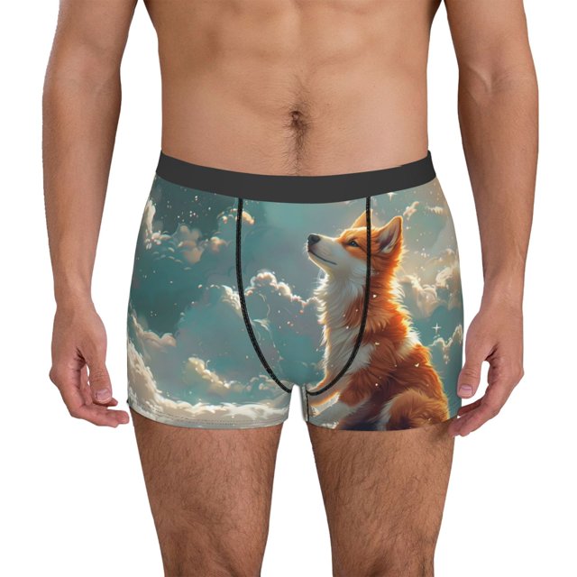 Balery Starry Sky Cloud Fox Calzoncillos bóxer para hombre, ropa interior de algodón suave y transpirable con cinturilla de nailon-Medium