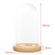 thumbnail image 3 of Cúpula de cristal DIY decoración cúpula de cristal cubierta de cristal campana de cristal con base de madera F 12x20cm, 3 of 8