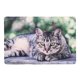 thumbnail image 2 of Estera plegable de doble capa para gatos Yuyangstore impermeable Colchoneta para perros, 2 of 7