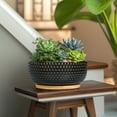thumbnail image 4 of 8 inch Indoor Outdoor Black Ceramic Bonsai Pot - Succulent Planter with Textured Design & Saucer, Home Garden Office Decor, 4 of 7