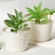thumbnail image 1 of Maceta de plástico blanca | Juego de 3 macetas pequeñas | Macetas decorativas para interior y exterior para enredaderas y plantas pequeñas | 3 tamaños, 1 of 6