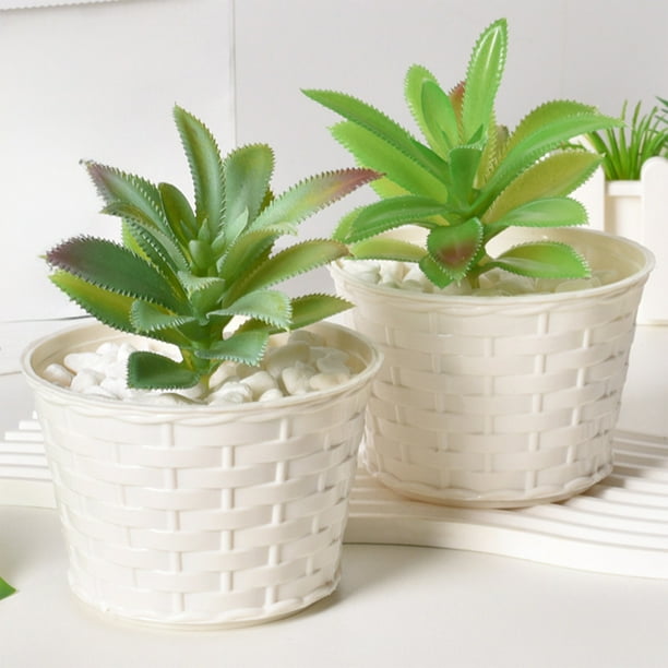Planta Artificial Jarrón Maceta Suculenta Vaso Decorativo, Maceta de Plástico para Plantas Pequeñas, Ornamento para Interior, Ideal para Plantas de Bajo Crecimiento, Jarrón Estético para
