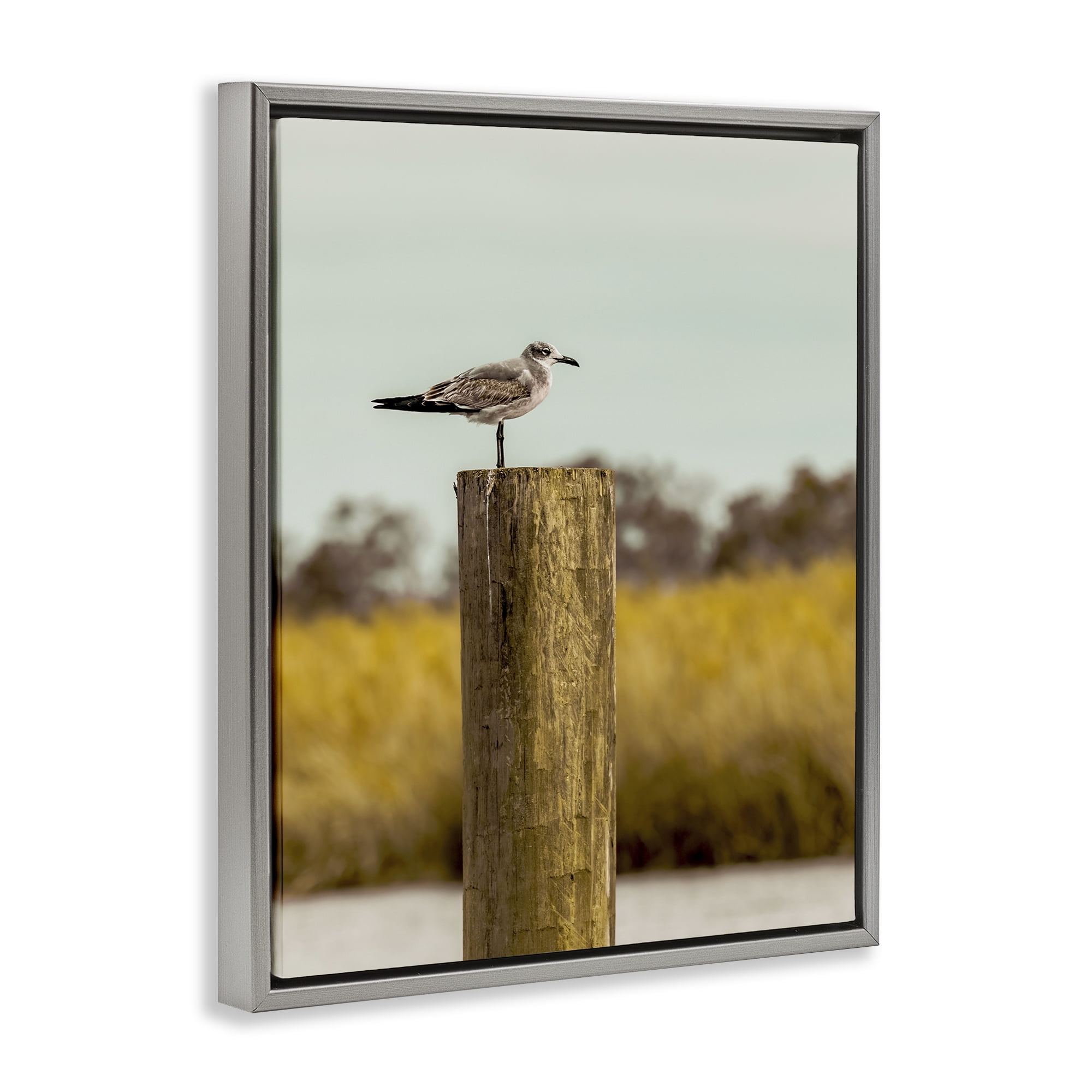 Stupell Industries Gull On Piling Gray Framed Floater Canvas Wall Art, design by Christy Berry