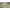 Ivory & Beige, variant on Deco Contemporary 2' x 7.7' Ivory and Beige Polypropylene Indoor Area Rug