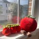 thumbnail image 4 of JELLYCAT-Muñeca de peluche de tomate divertida británica, muñeco de tomate, almohada para dormir, regalo para niñas, 4 of 5