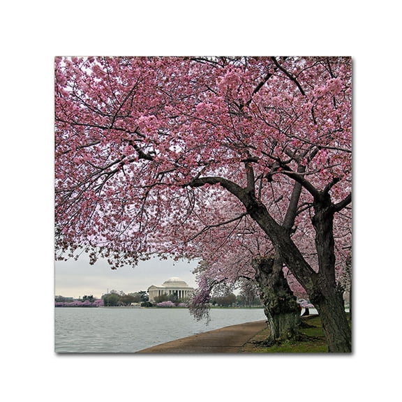 Trademark Fine Art "Tidal Basin Blossoms" Canvas Art by CATeyes