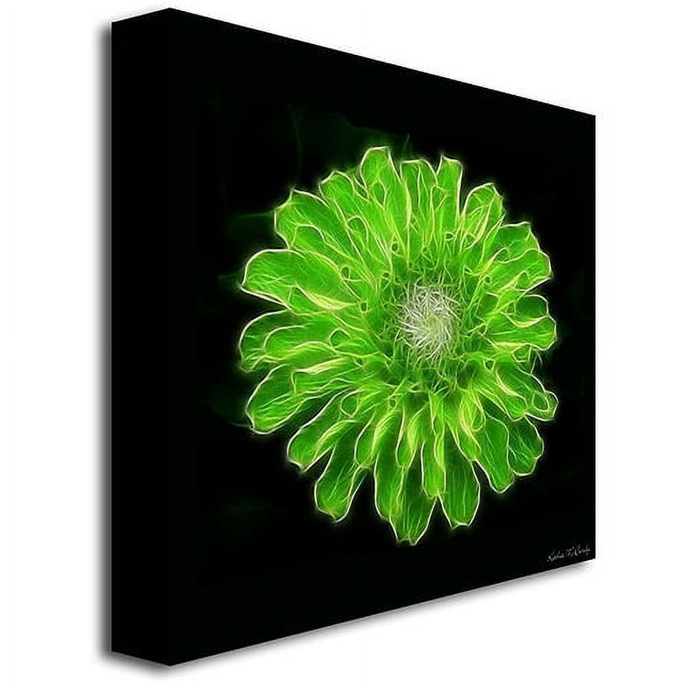 Trademark Art "Green Zinnia" Canvas Art by Kathie McCurdy