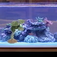 thumbnail image 4 of Nestingho De Artificiales Para Acuario Y Terrario De Reptiles Color, 4 of 7
