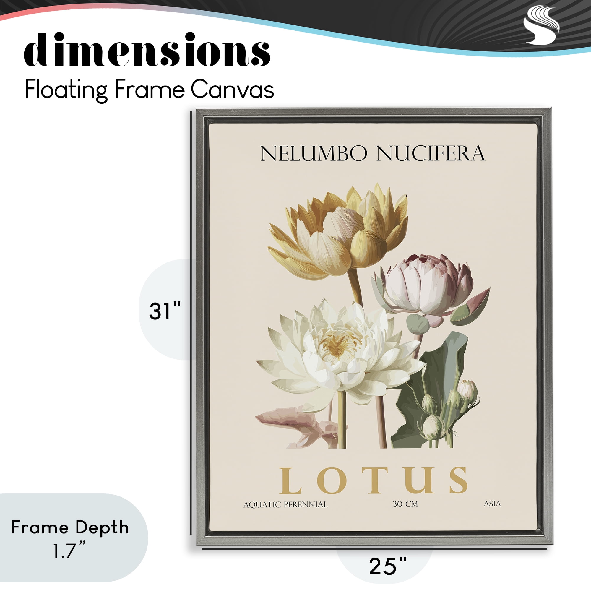 Stupell Industries Natural Lotus Bundle Gray Framed Floater Canvas Wall Art, design by Christopher Giampietro