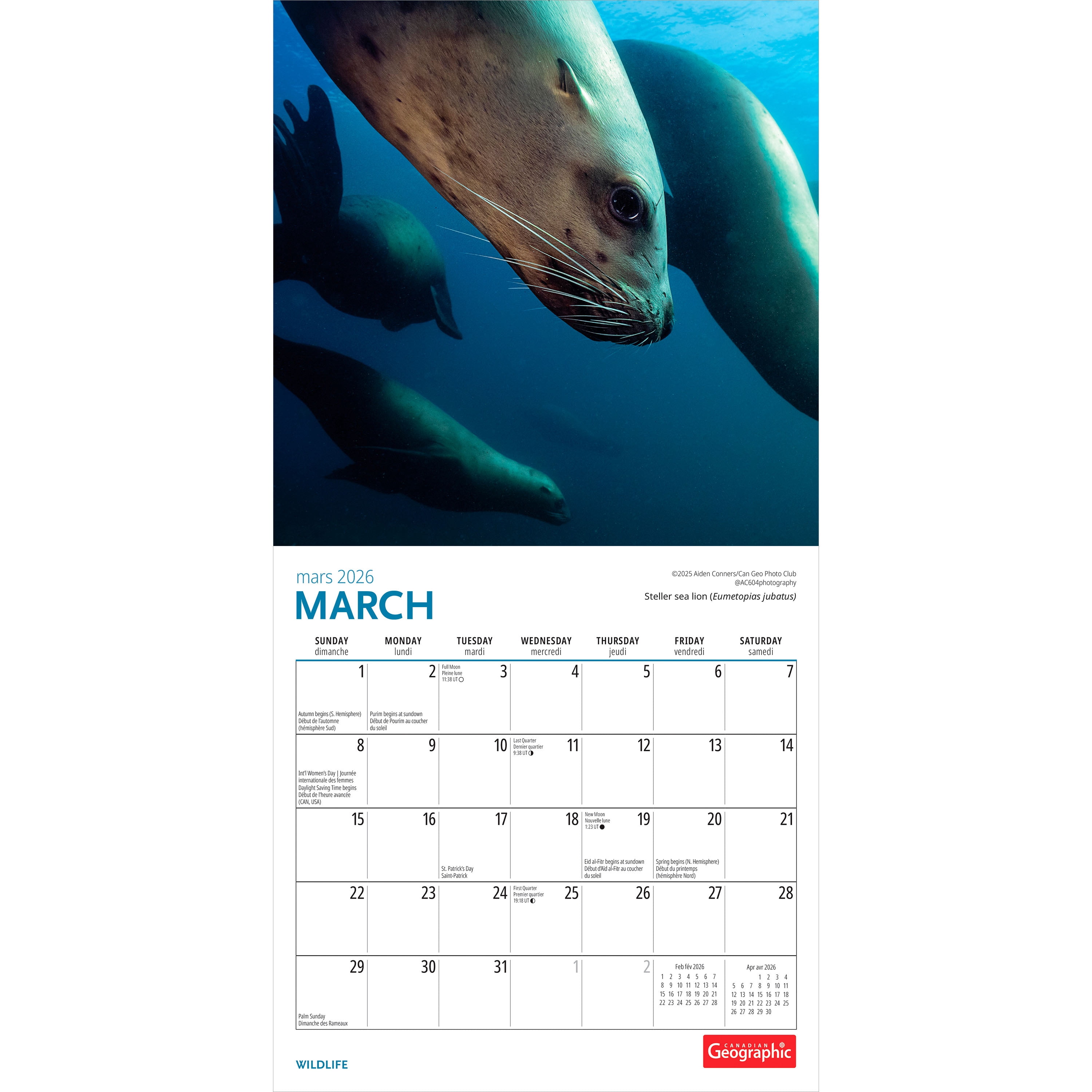 Canadian Geographic Wildlife 2026 Mini 7x7 Wyman