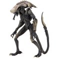 thumbnail image 2 of NECA Figurine d'Action Chrysalis Alien, 2 of 2