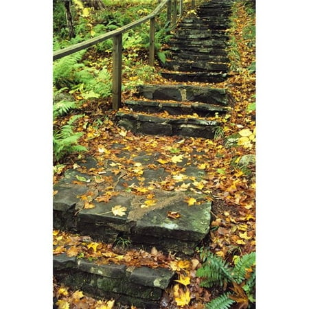 Stone Stairway in Forest Cape Breton Highlands National Park Nova Scotia Canada Poster Print by Bilderbuch, 22 x 36 -