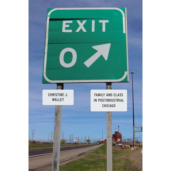 Exit Zero: Family and Class in Postindustrial Chicago, (Paperback)