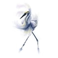 thumbnail image 3 of Shefranov, Olga 15x18 Black Modern Framed Museum Art Print Titled - Dancing Crane, 3 of 5