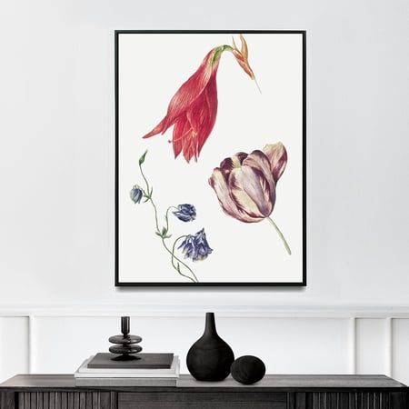 Tulp, akelei en amaryllis | Georgius Jacobus Johannes Van Os | Premium Fine Art Print | 18th Century French | Naturalism | Botanical | Plant Art | Nature Art