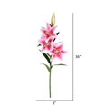 thumbnail image 3 of Vickerman 36'' Artificial Real Touch Lily Spray in Pink (Set of 2), 3 of 3