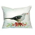 thumbnail image 3 of Mockingbird & Berries No Cord Pillow 16x20, 3 of 3