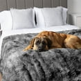 thumbnail image 6 of PetAmi WATERPROOF Dog Blanket For Large Dog, Queen Size Calming Pet Blanket Couch Cover Protector, Sherpa Faux Fur Cat Throw for Sofa Furniture Bed, Soft Fluffy XL, 90x90 Tie-Dye Gray, 6 of 9