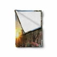 thumbnail image 2 of City Soft Flannel Fleece Throw Blanket, Holland Amsterdan Urban Photo with Sunset over Canal and Bicycles Floral Balls, Cozy Plush for Indoor and Outdoor Use, 70" x 90", Multicolor, by Ambesonne, 2 of 6