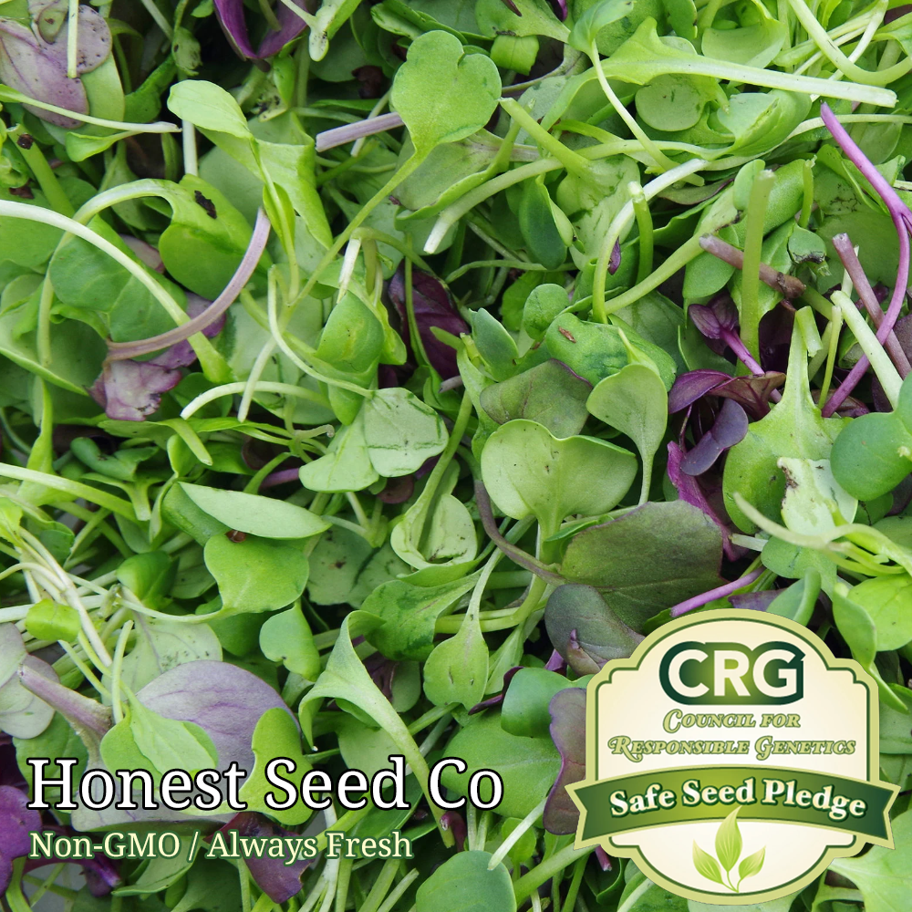 Basic Salad Mix Microgreen Seeds | Non-GMO | Fresh BULK Garden Seeds USA