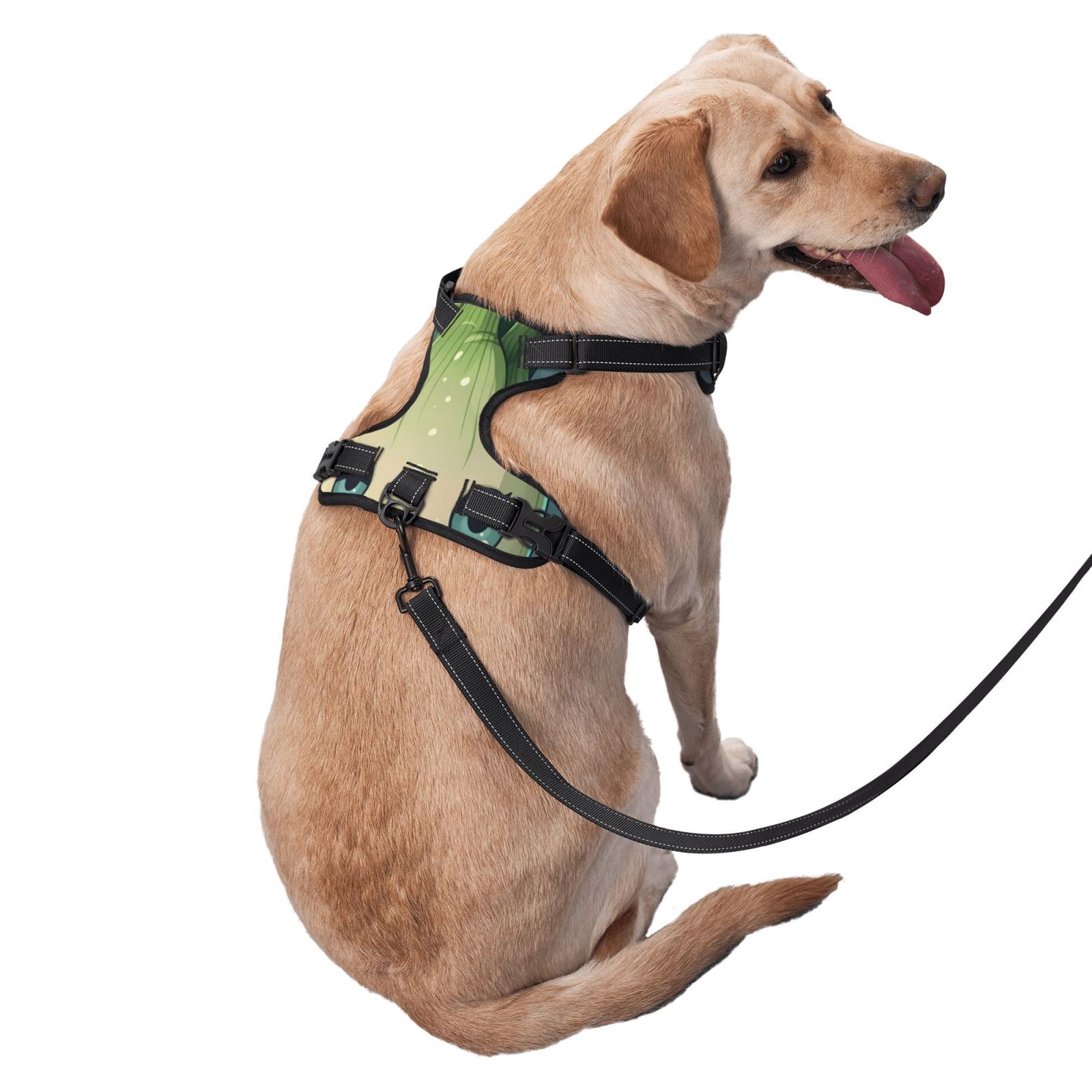 Vsdgher Adorable Kawaii Fennel Character Dog Harness, No-Pull Pet Harness, Dog Vest, Pet Vest for Small to Large Dogs-Medium