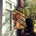 thumbnail image 2 of Carolines Treasures SC9338-FLAG-PARENT Vizsla Candy Cane Holiday Christmas Flag  multicolor, 2 of 3