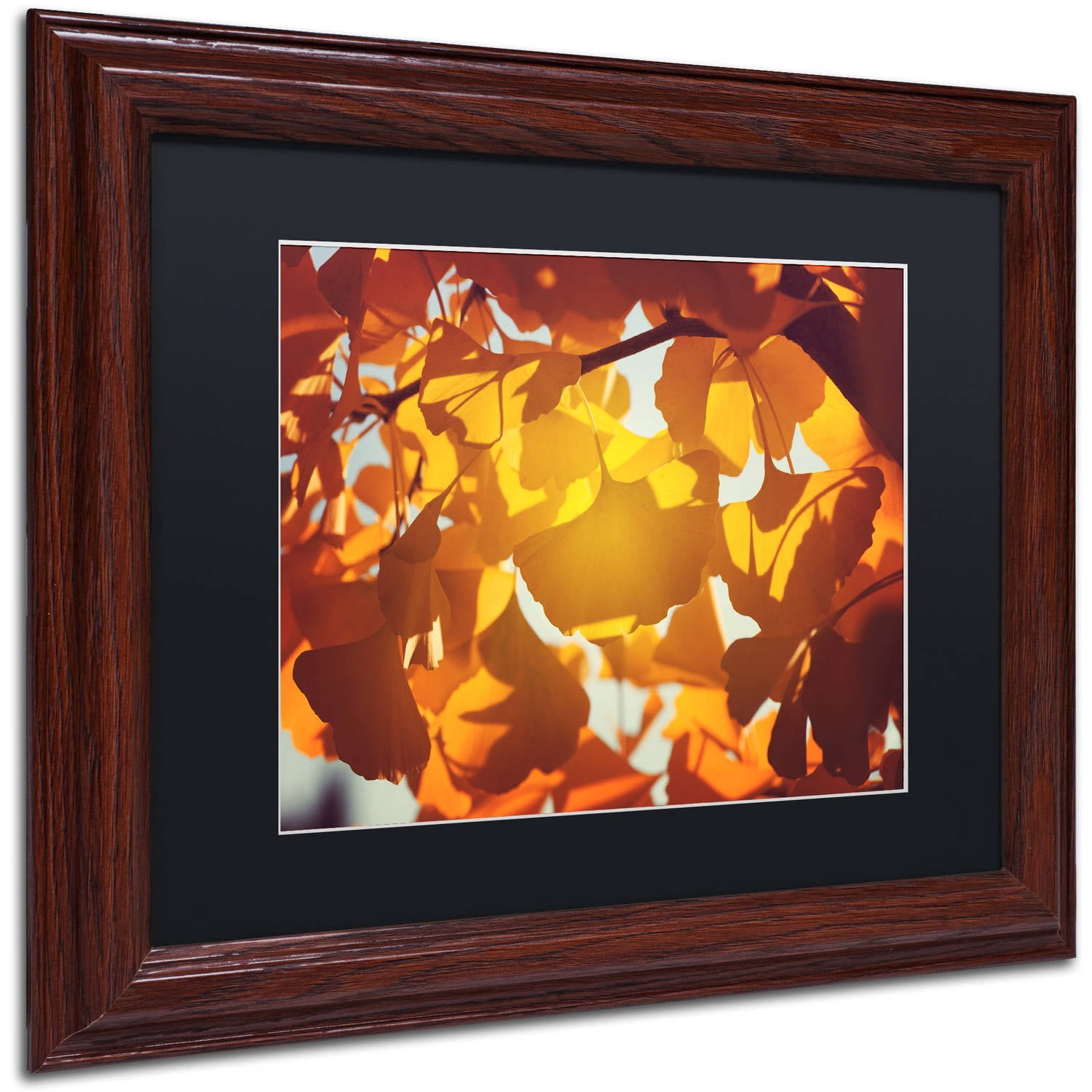 Trademark Fine Art "Ginkgo Leaves" Canvas Art by Philippe Sainte-Laudy Black Matte, Wood Frame
