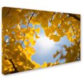 thumbnail image 2 of Trademark Fine Art "Ginkgo Leaves in Autumn" Canvas Art by Philippe Sainte-Laudy, 2 of 2