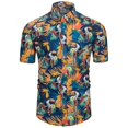 thumbnail image 2 of Camisetas gráficas para niñas Tropics Binkini para hombres, ropa, camisa hawaiana de playa con estampado 3D, camisetas Y2K de manga corta, blusas con solapa, 2 of 5