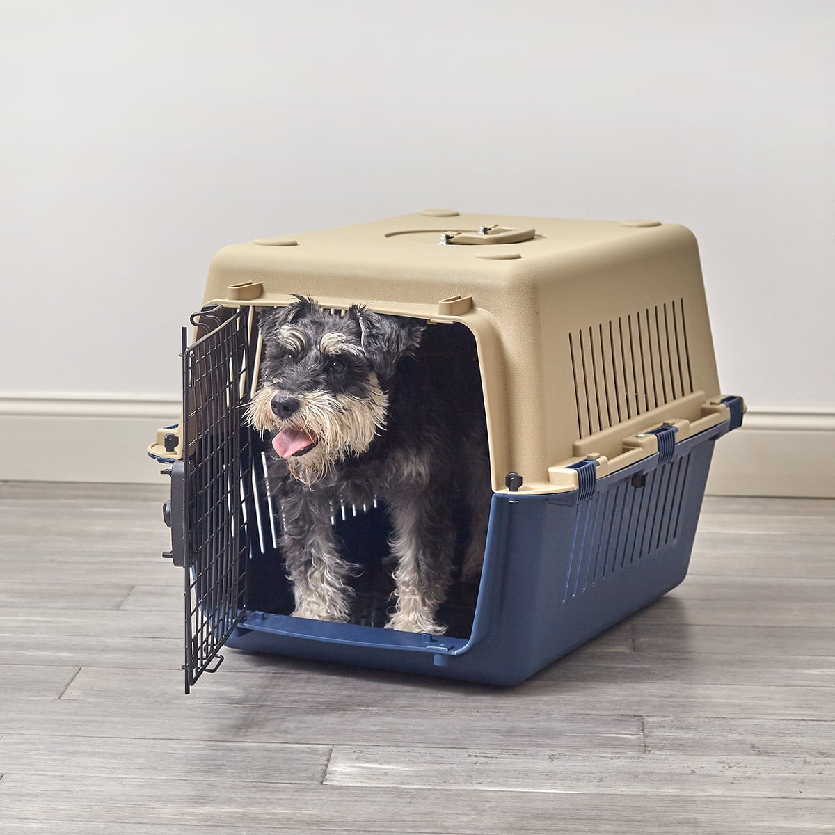 travel dog crate medium