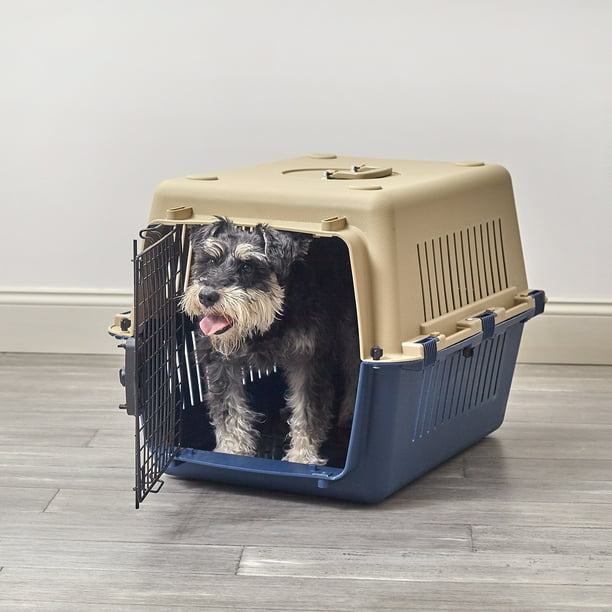 Pet Sentinel Plastic Dog Crate, Medium, 18.50"L x 20.10"W x 26.60"H