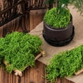 thumbnail image 5 of CIYISON 150g Fake Green Moss for Potted Plant Table Centerpieces, 5 of 18