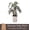 Gray, variant on Wild Interiors ZZ (Zamioculcas Zamiifolia), 12-18” Tall, 5” Ceramic Pot