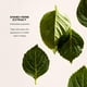 thumbnail image 3 of Sérum Shiseido Future Solution LX Intensive Reafirmante 50 ml, 3 of 4