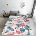 thumbnail image 4 of Flamingo Blanket 50''''x60'''' Cute Flower Throw Blanket for Women Girls Lightweight Soft Plush for Crib Couch Travel Gifts for Flamingo Lovers Flamingo Decorations Flamingo Decor Abstract, 4 of 6