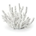 thumbnail image 1 of White Finger Coral Decoration, 1 of 2