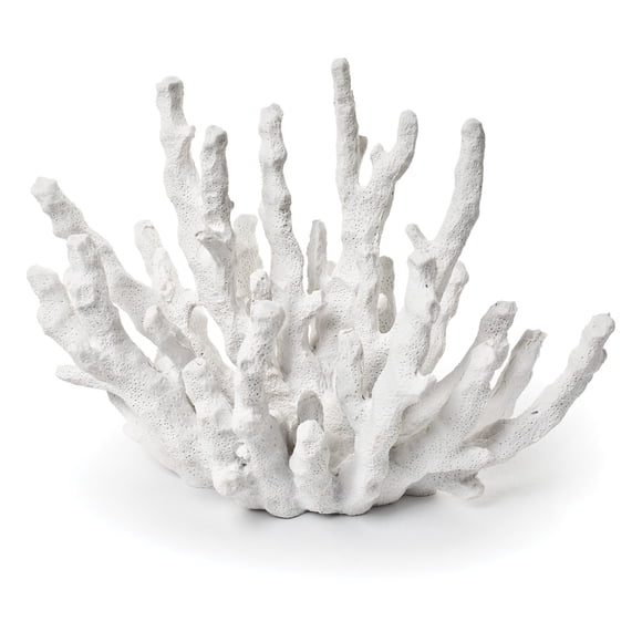 White Finger Coral Decoration
