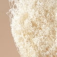 thumbnail image 3 of Baby's Breath (White Sparkle), 3 of 7